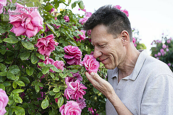Man smelling pink rose in garden