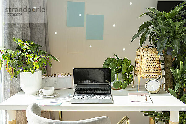 Laptop kept with coffee cup and houseplants on desk in home office