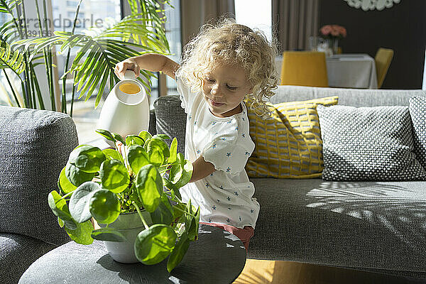 Mädchen gießt Pflanze auf Couchtisch zu Hause