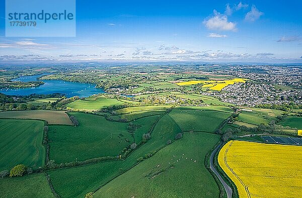 Panorama über Farmland und Rapsfelder von einer Drohne aus  Devon  England  Großbritannien  Europa