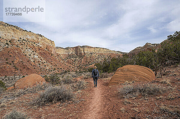USA  New Mexico  Abiquiu  Rückansicht einer Frau beim Wandern in der Wüstenlandschaft