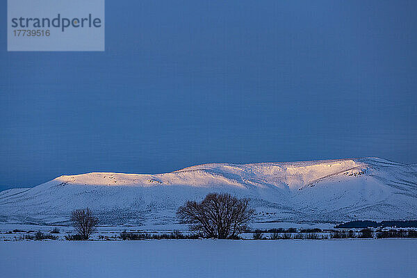 USA  Idaho  Bellevue  schneebedecktes Feld und Hügel bei Sonnenaufgang