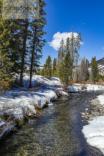 USA  Idaho  Ketchum  Creek in schneebedeckter Landschaft