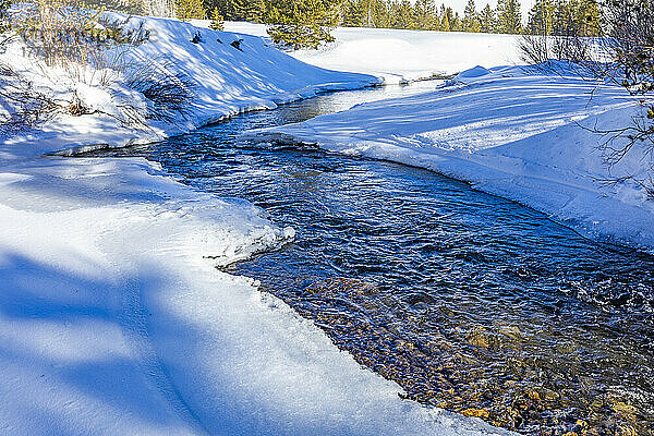 USA  Idaho  Ketchum  Creek in schneebedeckter Landschaft