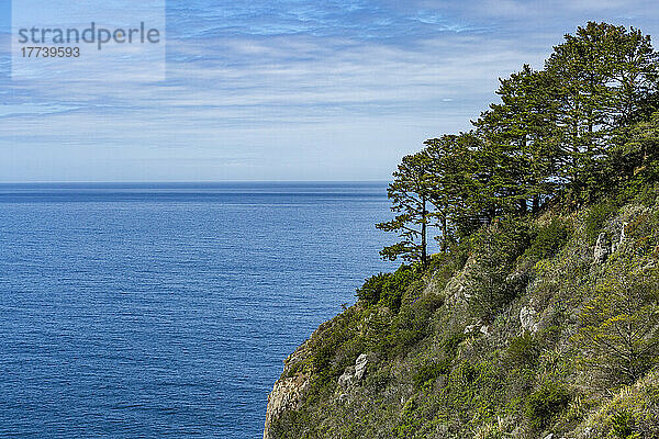 USA  Kalifornien  Big Sur  Küstenklippe mit Blick auf den Pazifischen Ozean entlang der Küste von Big Sur