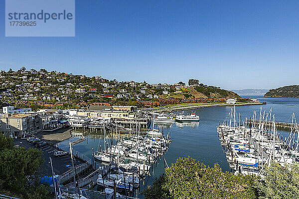 USA  Kalifornien  Tiburon  Blick auf den Yachthafen an einem sonnigen Tag