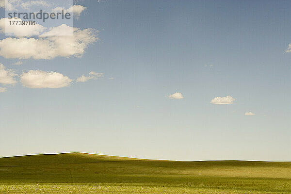 USA  Utah  grüne Weide und Wolken am blauen Himmel