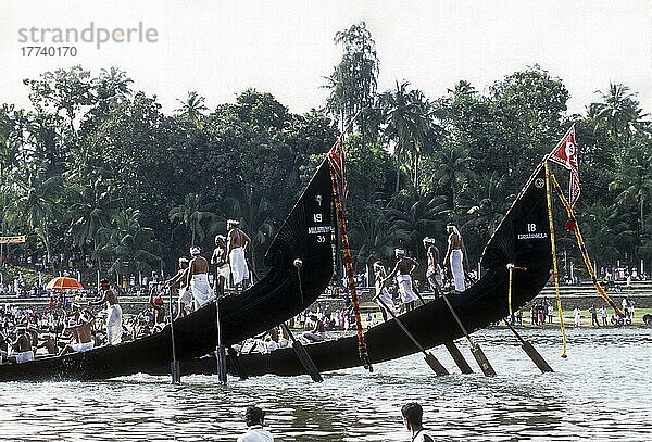 Der Ruderer steht auf dem hinteren Teil des Bootes  der Amaram genannt wird  und gibt die Richtung des Bootes vor. Aranmula Vallamkali Festival oder Schlangenbootrennen  abgehalten während des Onam-Festes in Aranmula  Kerala  Indien  Asien