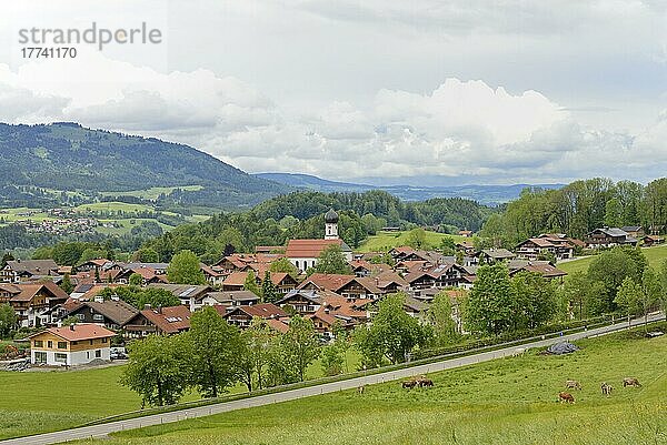 Ausblick auf Schöllang  nördlichster Ortsteil von Oberstdorf  Allgäuer Alpen  Allgäu  Bayern  Deutschland  Europa