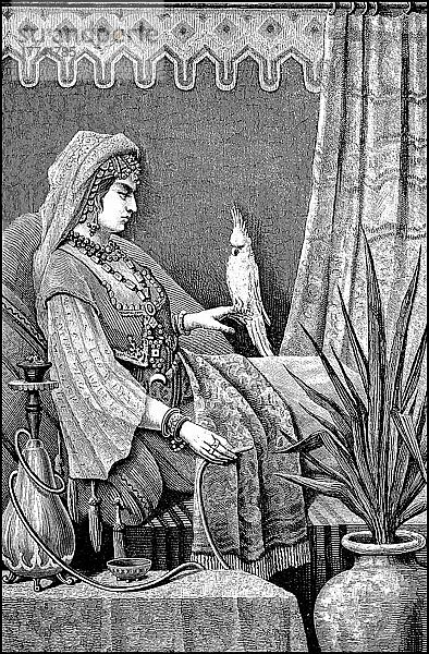 Vornehme Araberin mit einem Papagei und Wasserpfeife aus Bagdad  Irak  Frauen im 19. Jahrhundert  Historisch  digital restaurierte Reproduktion einer Vorlage aus dem 19. Jahrhundert  Asien
