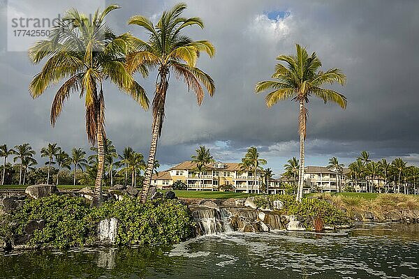 Urlaubsresidenzen unter Palmen und künstlicher Wasserfall  Waikoloa Village  Big Island  Hawaii  USA  Nordamerika