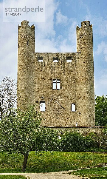 Burgruine Hoher Schwarm  Saalfeld  Thüringen  Deutschland  Europa