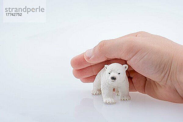 Hand mit Eisbärenmodell
