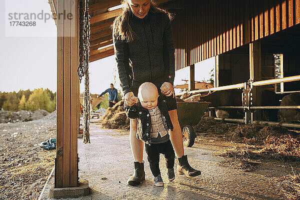 Mutter hält die Hände ihres Sohnes beim Spaziergang im Stall