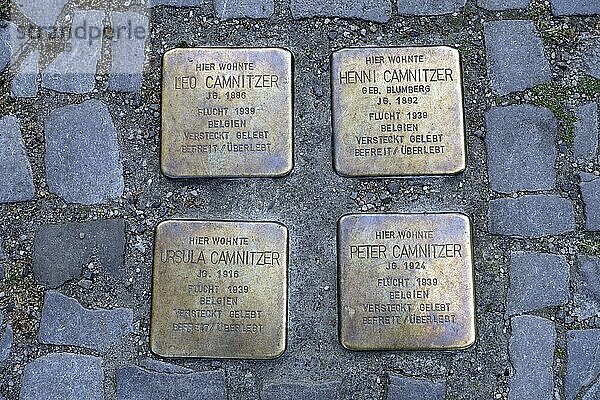 Stolpersteine zum Gedenken an Juden die nach Belgien geflüchtet sind und überlebten  Berlin  Deutschland  Europa