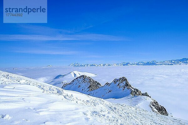 Winterliche Berglandschaft  Alpen  Frankreich  Europa