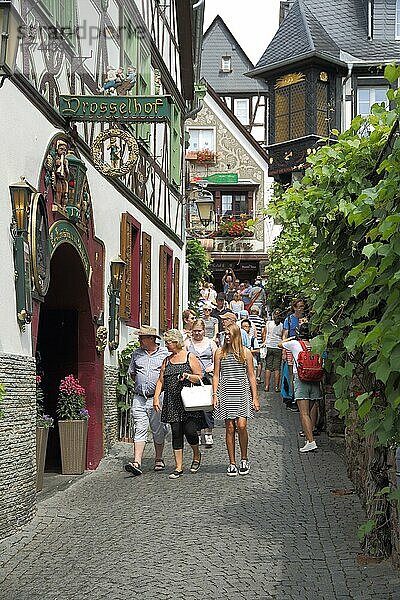 Drosselgasse als Wahrzeichen von Rüdesheim  Rheingau  Taunus  Hessen  Oberes Mittelrheintal  Deutschland  Europa