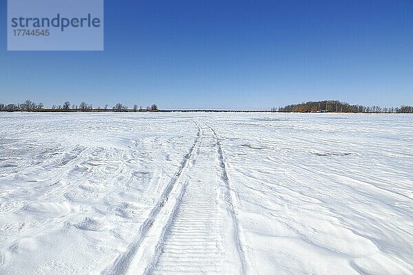 Reifenspuren auf einer gefrorenen Oberfläche  Sankt-Lorenz-Strom  Provinz Quebec  Kanada  Nordamerika