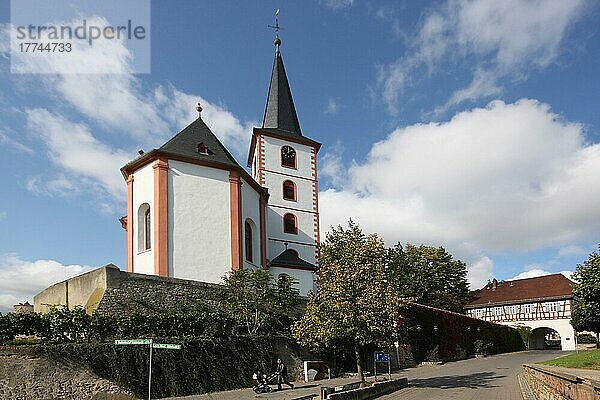 St. Peter und Paul Kirche und Torhaus in Hochheim am Main  Taunus  Hessen  Deutschland  Europa