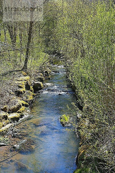Katzenbach  Fließgewässer  Fluss  Natur  Landschaft  Wanderwege im Katzenbachtal  Bad Niedernau bei Rottenburg  Baden-Württemberg  Deutschland  Europa
