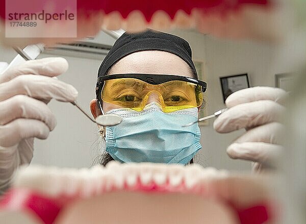 Ein Zahnarzt  der einen Mund von innen reinigt  Innenansicht eines Mundes  der von einem Zahnarzt untersucht wird  eine Zahnärztin  die einen Patienten untersucht. Ein Zahnarzt  der einen Mund untersucht  ein Zahnarzt  der Zähne reinigt