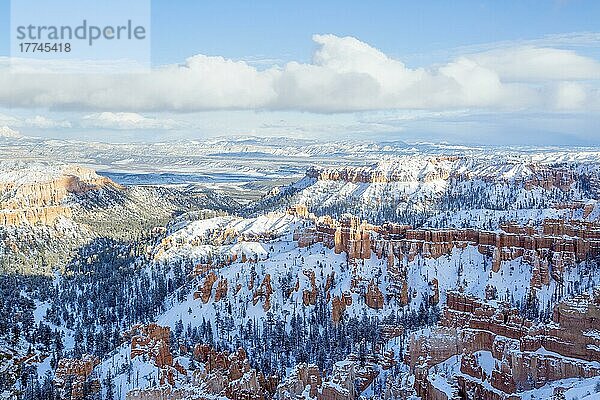 Aussichtspunkt am Bryce Canyon im Winter  Utah  USA  Nordamerika