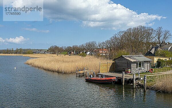 Bootsanleger und Ferienhäuser in Moritzdorf am Selliner See  Insel Rügen  Mecklenburg-Vorpommern  Deutschland  Europa