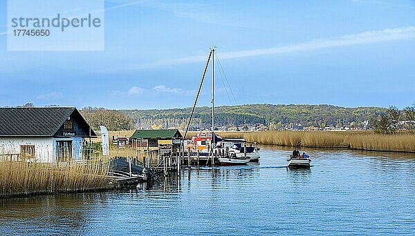 Fährhaus und Fähre am Verbindungskanal Baabe-Sellin-Moritzdorf  Insel Rügen  Mecklenburg-Vorpommern  Deutschland  Europa