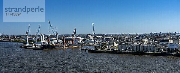 Ausblick von der Elbphilharmonie auf den Industriehafen  Hamburg  Deutschland  Europa