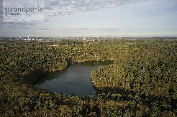 Luftaufnahme vom Pinnsee  einem Waldsee im Naturpark Lauenburgische Seen im Kreis Herzogtum Lauenburg. Pinnsee  Mölln  Schleswig-Holstein  Deutschland  Europa
