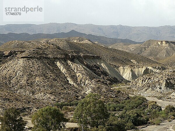 Hügellandschaft der Wüste von Tabernas in der südspanischen Provinz Almeria  einzige Wüstenregion Europas  Tabernas  Andalusien  Spanien  Europa