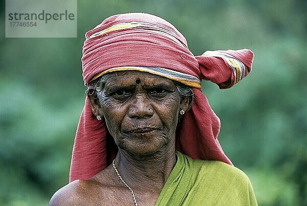 Eine alte Frau in Anaikatty in der Nähe von Coimbatore  Tamil Nadu  Indien  Asien