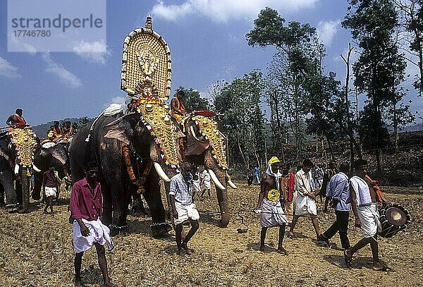 Uthralikavu Pooram Fest in Wadakanchery bei Thrissur oder Trichur  Kerala  Indien  Asien