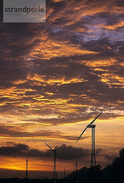 Windmühle  Windpark in der Nähe von Kanyakumari vor prächtigen Silhouetten im Sonnenuntergang  Tamil Nadu  Indien  Asien