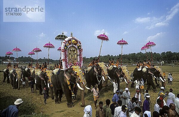 Vallanghy Nenmara Vela Festival  Kerala  Indien  Asien