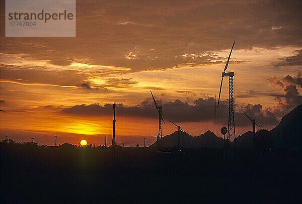 Windmühle  Windpark in der Nähe von Kanyakumari vor prächtigen Silhouetten im Sonnenuntergang  Tamil Nadu  Indien  Asien