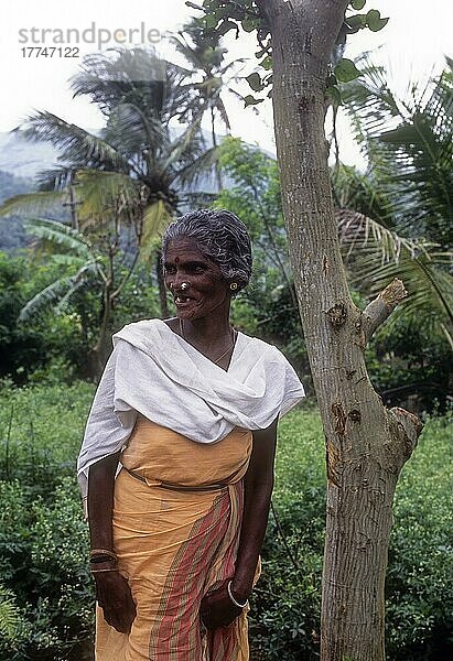 Eine alte Frau aus einem Stamm in Attapadi  Kerala  Indien  Asien
