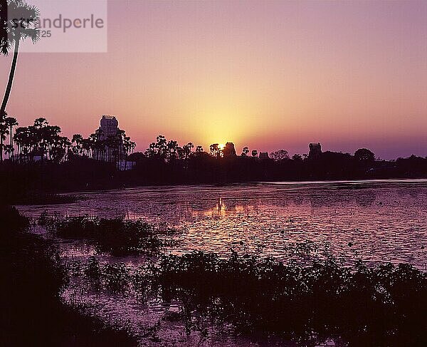 Sonnenuntergang in der Tempelstadt Kancheepuram  Tamil Nadu  Indien  Asien