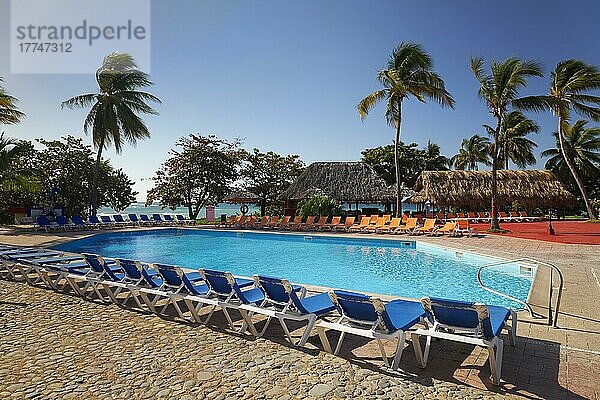 Swimming Pool  Sonnenliegen  Bar  Cocos Palmen (Cocos nucifera)  Hotel Club Amigo Costasur  Playa Ancon  Trinidad  Provinz Sancti Spiritus  Kuba  Westindische Inseln  Karibik  Mittelamerika