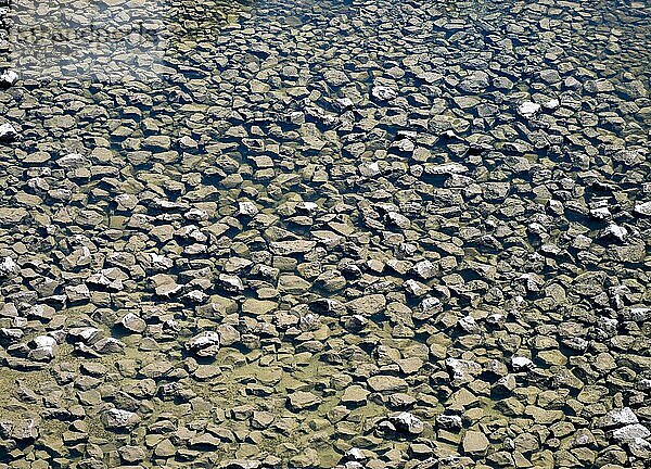 Steine im Wasser der Eder am Auslauf der Edertalsperre  Edertal  Hessen  Deutschland  Europa