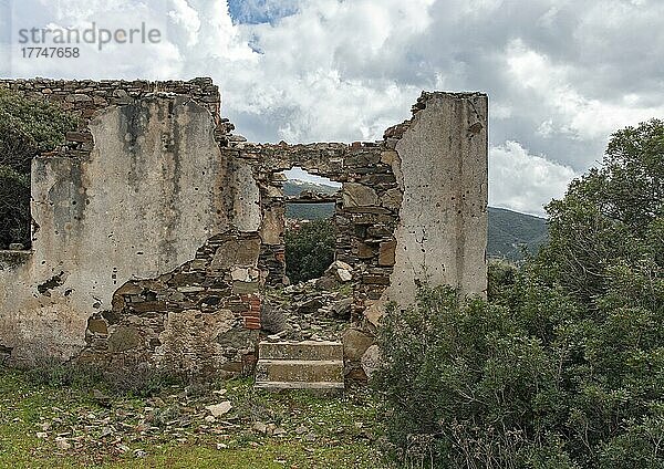 Ruinen eines Hauses in der verlassenen Bergbaustadt Miniera di Naracauli  Laveria Brassey  Sardinien  Italien  Europa