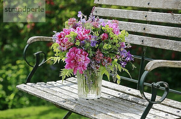 Bunter Blumenstrauß in rot  pink und violett Farbtönen mit Pfingstrosen und Akeleien  steht in Glas-Vase auf dekorativer Holz-Gartenbank