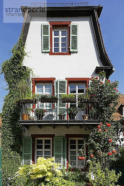 Kleines  pittoreskes Wohnhaus mit Balkon und Fensterladen  Blumenkasten  Rosen  viele  verschiedene Pflanzen  Altstadt  Heidelberg  Kurpfalz  Baden-Württemberg  Deutschland  Europa