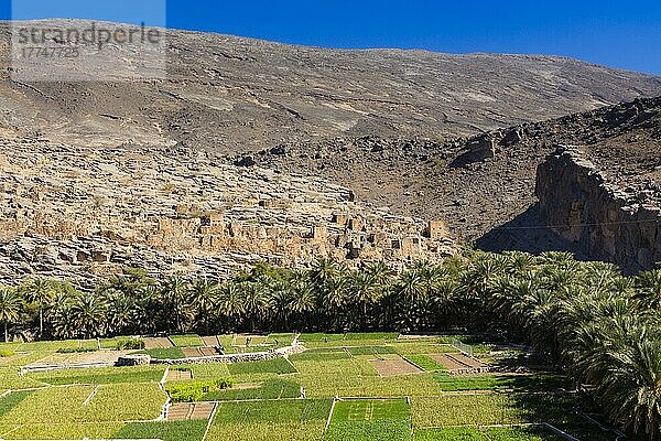 Ghul Abandoned Village  am Eingang des Wadi Ghul  Omans Grand Canyon  Sultanat Oman