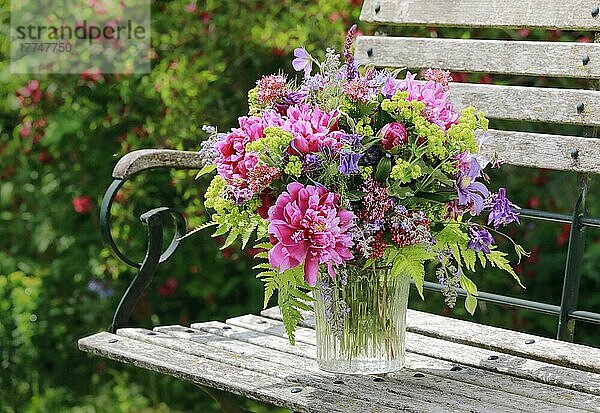 Bunter Blumenstrauss in rot  pink und violett Farbtönen mit Pfingstrosen und Akeleien  steht in Glas-Vase auf dekorativen Holz-Gartenbank