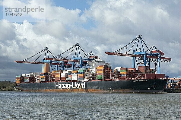 Containerschiff  Containerterminal Altenwerder  Hafen  Hamburg  Deutschland  Europa
