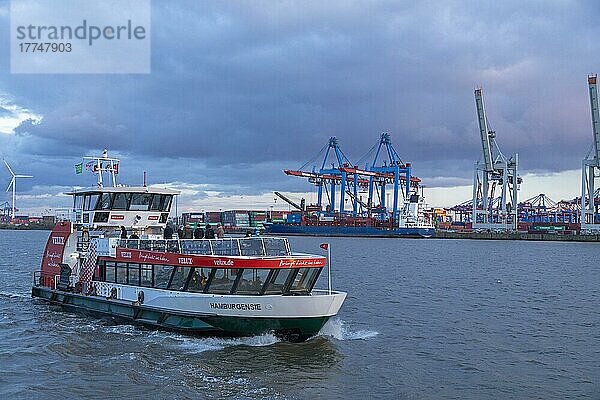 Containerterminal Burchardkai  Elbfähre  Hafen  Hamburg  Deutschland  Europa