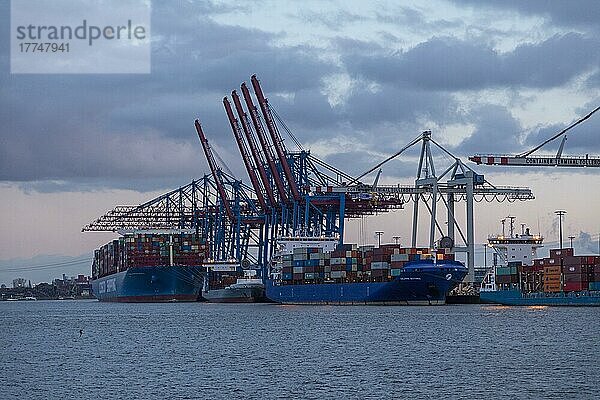 Containerterminal Tollerort  Hafen  Hamburg  Deutschland  Europa