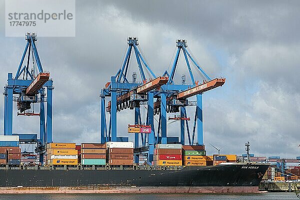 Containerschiff  Containerterminal Altenwerder  Hafen  Hamburg  Deutschland  Europa