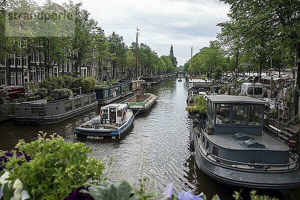 Hausboote in der Prinsengracht  Westerkerk  Amsterdam  Niederlande  Europa